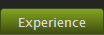 Experience